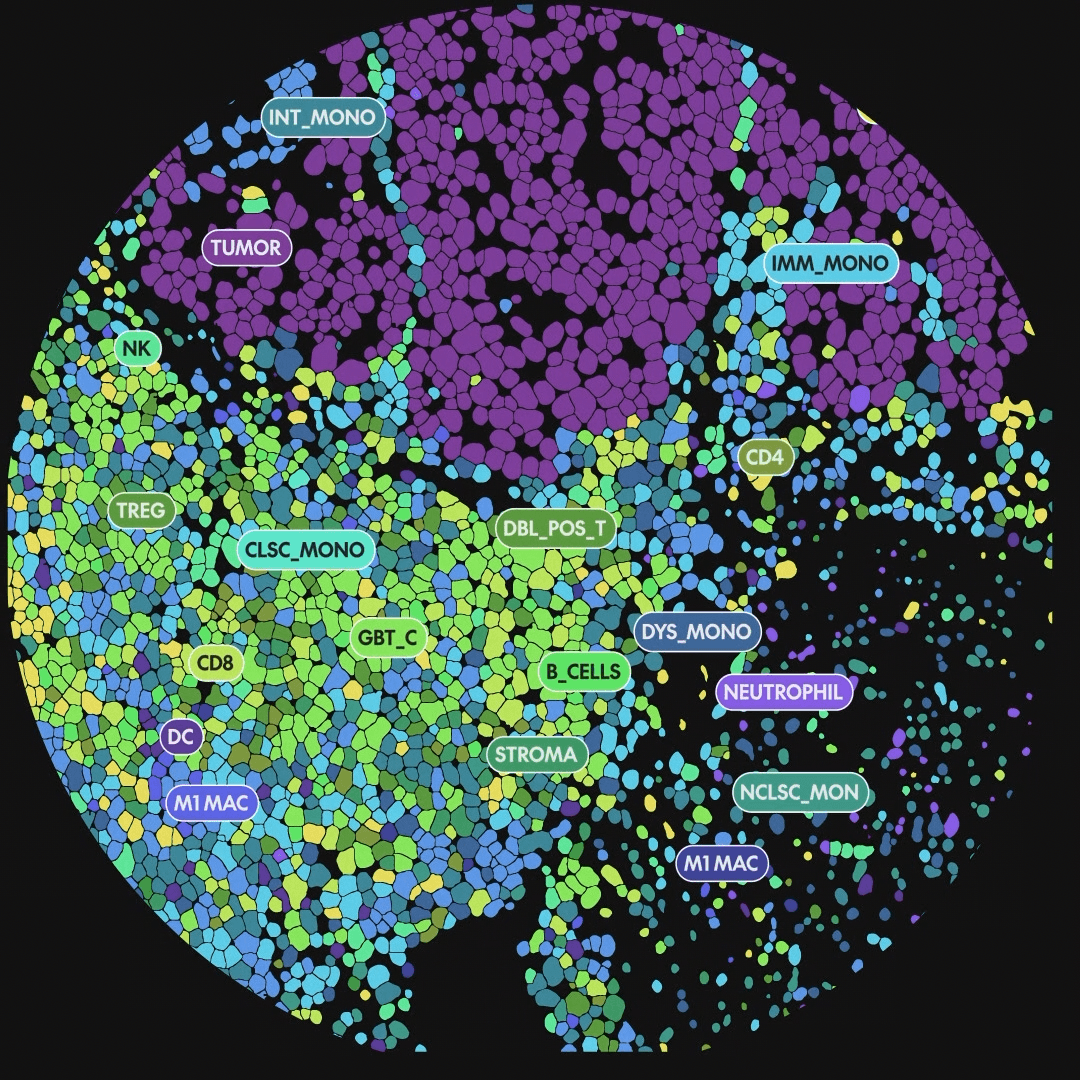 Picture of Spatial Transcriptomics