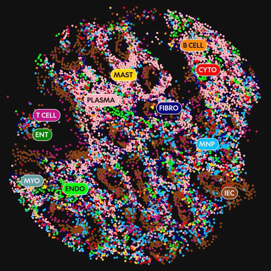 Picture of Spatial Transcriptomics